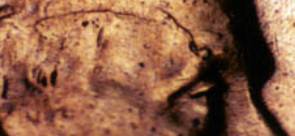1868-3-Cent