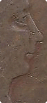 1792.1c.birch.bn-Variety,-Grade-Etc