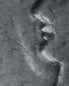 1835-Capped-Bust-1/2-Dime---Variety-Verification