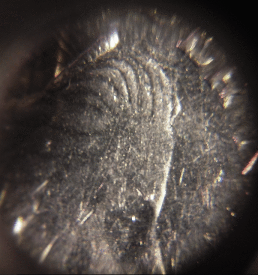 1969-Netherlands-2-1/2-Gulden-Hair-Lock,-Fish-&-Cock-Details