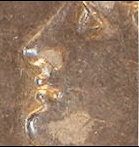 Face-Test-Guess-The-Coin