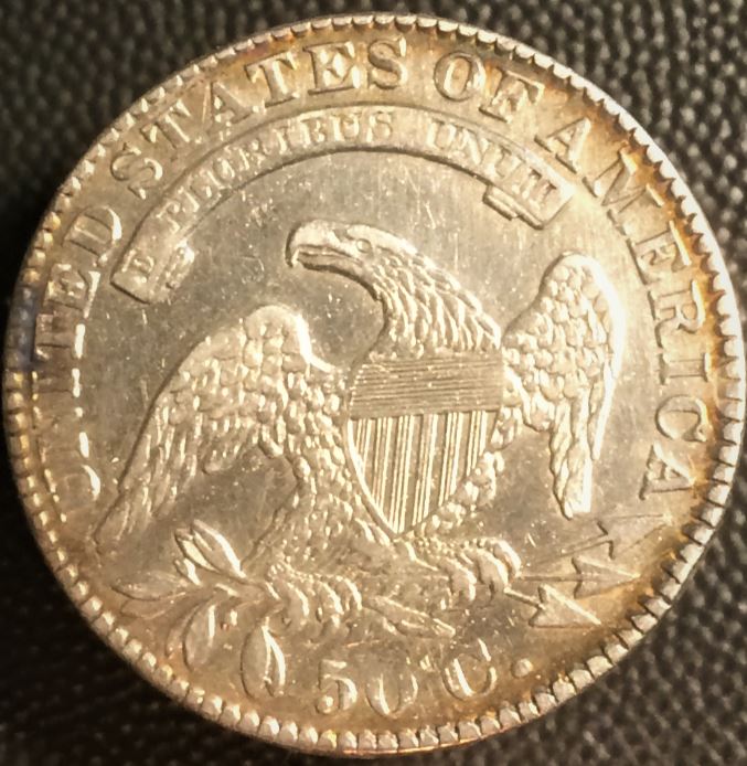 Should-I-Submit-Thi-1832-Bust-50-Cents-To-PCGS-W/O-Getting-Details-Cleaning