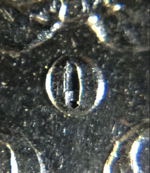1879-O-Morgan-VAM-Check-Verification
