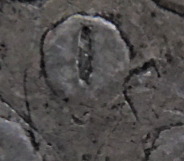 1881-O-Morgan-Dollar--VAM-5-Verification-Confirmation