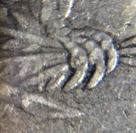 1838-Seated-Liberty-25c-ND---Closed-Or-Open-Claws?