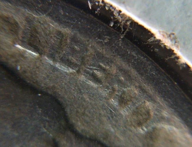 1913-T1-Buffalo-5c-Double-F---Never-Seen-One-B4