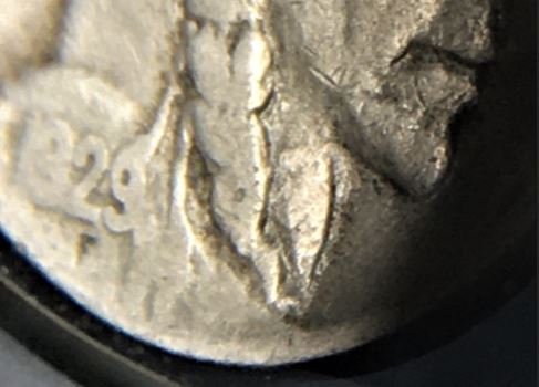 1929-S-5c-Buffalo-DDO-Braid---Possible?