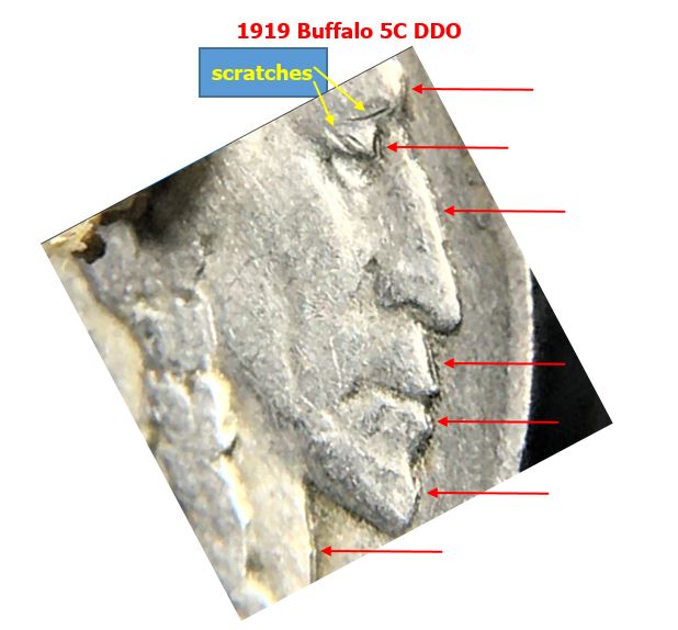 1919-Buffalo-5c-DDO-Verification-&-No.-Needed