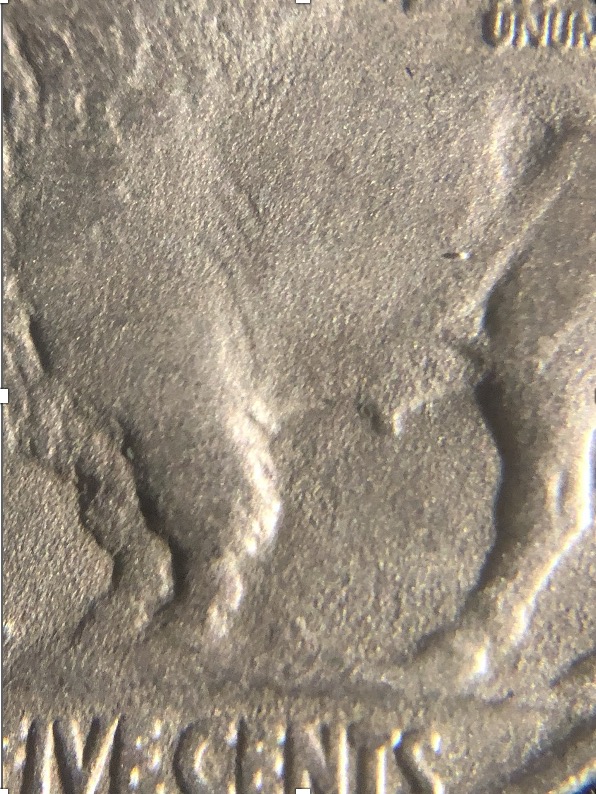 Grade-For-1918-S-Buffalo-5c-Grade-Request-With-Distinct-Field-Patina