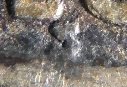 1921-S-Buffalo-5c-Grade-Request