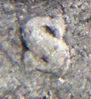 1899-Barber-50c--S/S-Verify