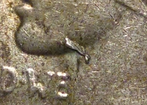 1923-P-Peace-Dollar-VAM-1A-'Whisker-Jaw'-Not-Bad-For-$15