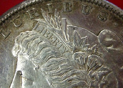 1881-S-Morgan-Dollar-Some-Opinions-And-Grade-Help