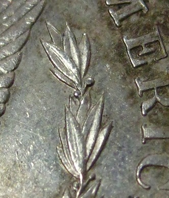 1881-S-Morgan-Dollar-Some-Opinions-And-Grade-Help