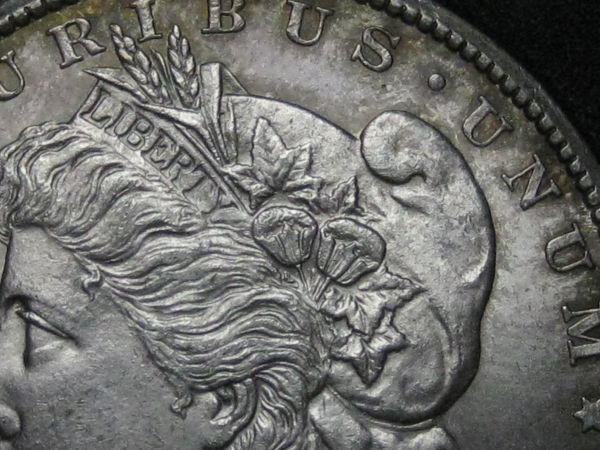 1878-CC-Morgan-Help-Grade-This-Beautiful-Lady