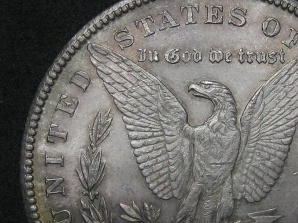 1878-CC-Morgan-Help-Grade-This-Beautiful-Lady