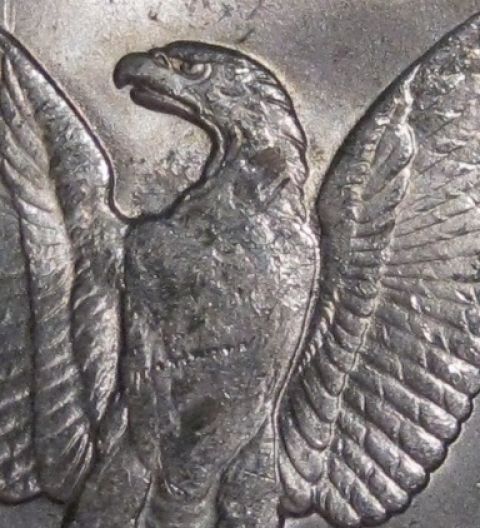 1888-P-Morgan-Possible-VAM39A-Worn-Reverse-Die?