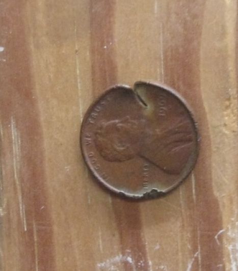 What's-The-Weirdest-Place-You-Randomly-Found-A-Coin?