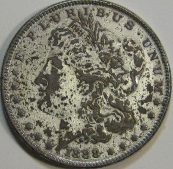 One-Of-The-Ugliest-Morgan's-I-Have-Ever-Seen