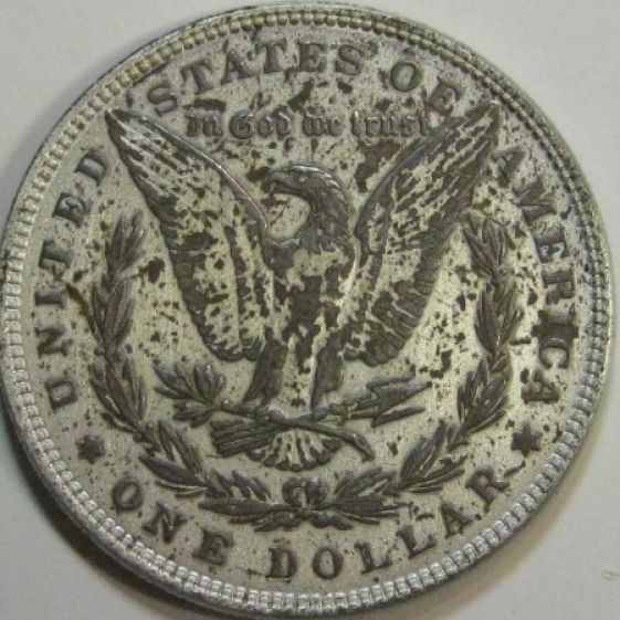 One-Of-The-Ugliest-Morgan's-I-Have-Ever-Seen