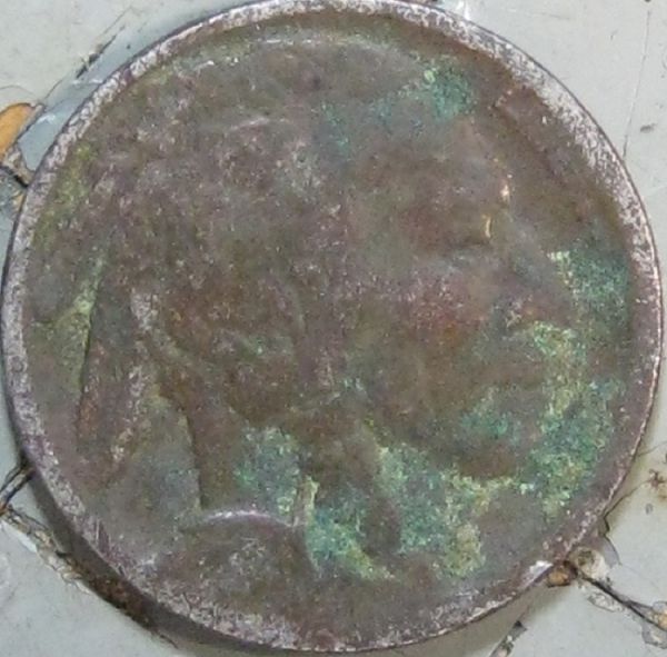Restored-Buffalo-Nickel-Cinderella-Story---Almost