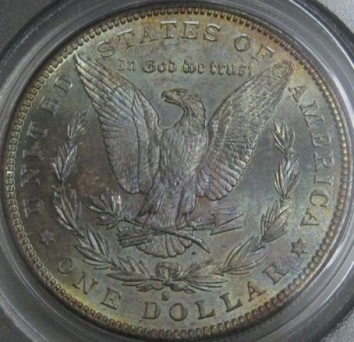 1882-S-Morgan-Reverse-Tone-Slab-You-Vs.-PCGS-*grade-Revealed*