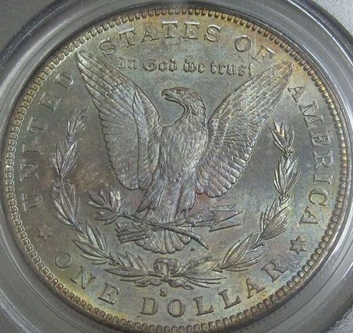 1882-S-Morgan-Reverse-Tone-Slab-You-Vs.-PCGS-*grade-Revealed*