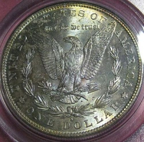 1882-S-Morgan-Reverse-Tone-Slab-You-Vs.-PCGS-*grade-Revealed*