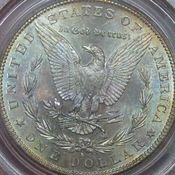 1882-S-Morgan-Reverse-Tone-Slab-You-Vs.-PCGS-*grade-Revealed*