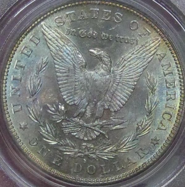 1882-S-Morgan-Reverse-Tone-Slab-You-Vs.-PCGS-*grade-Revealed*