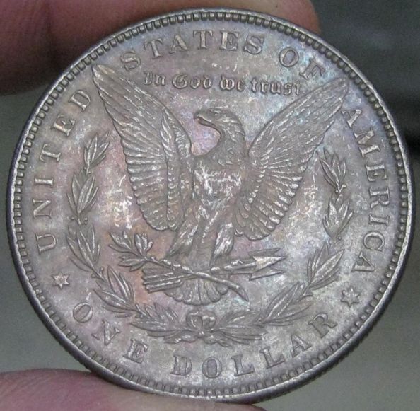 Another-Honestly-Toned-Morgan-1886-P