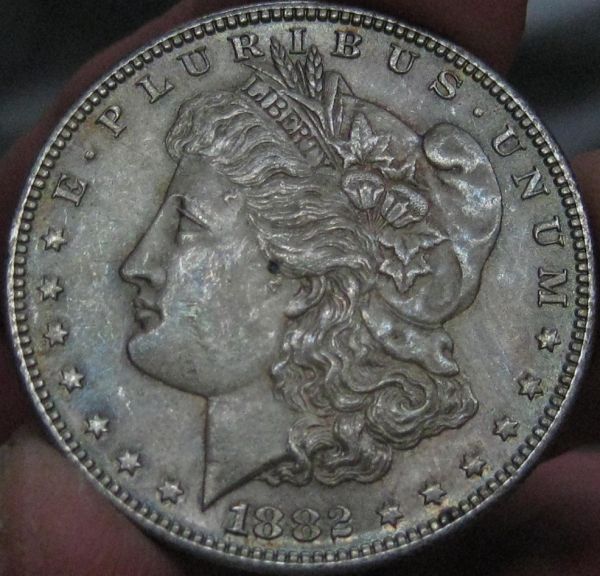 Not-Just-Another-Pretty-Lady-1882-S-Morgan-Some-Tone
