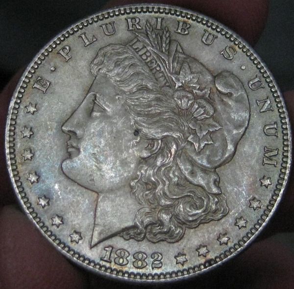 Not-Just-Another-Pretty-Lady-1882-S-Morgan-Some-Tone