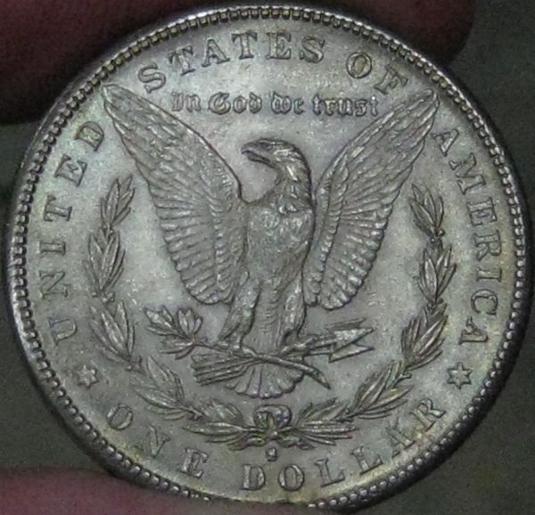 Not-Just-Another-Pretty-Lady-1882-S-Morgan-Some-Tone