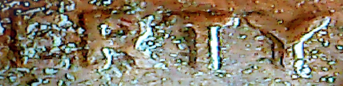 Possible-DDO-1978-Penny?-Not-The-Same-One-As-Last.