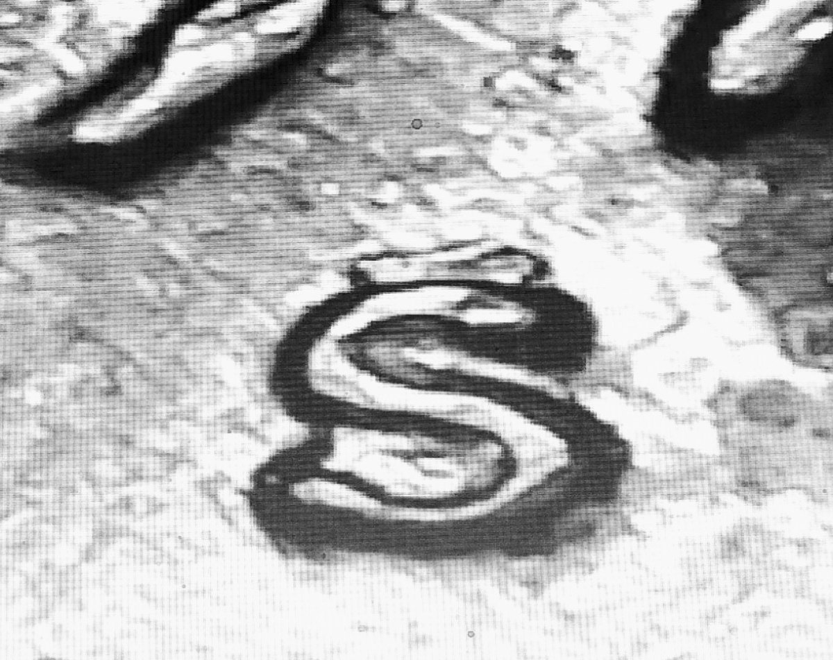 Possible-RPM-On-1971-S-Penny