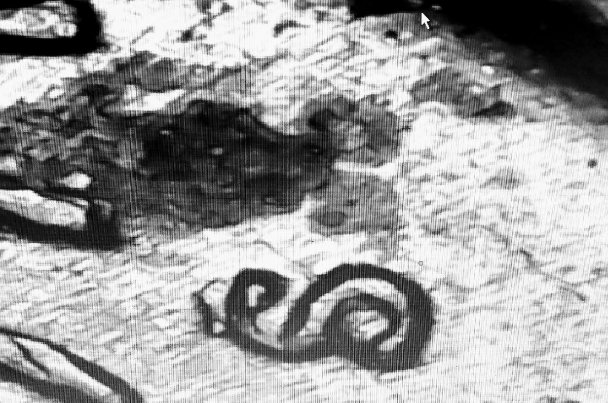 Possible-RPM-On-1971-S-Penny