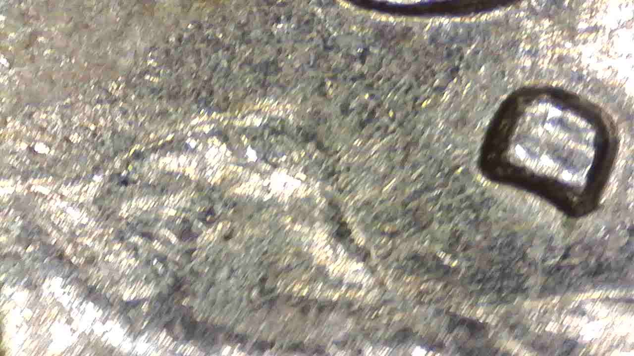 1979-D-5-Cent-With-Double-Die-On-Mint-Mark?