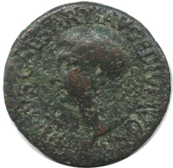 Drusus