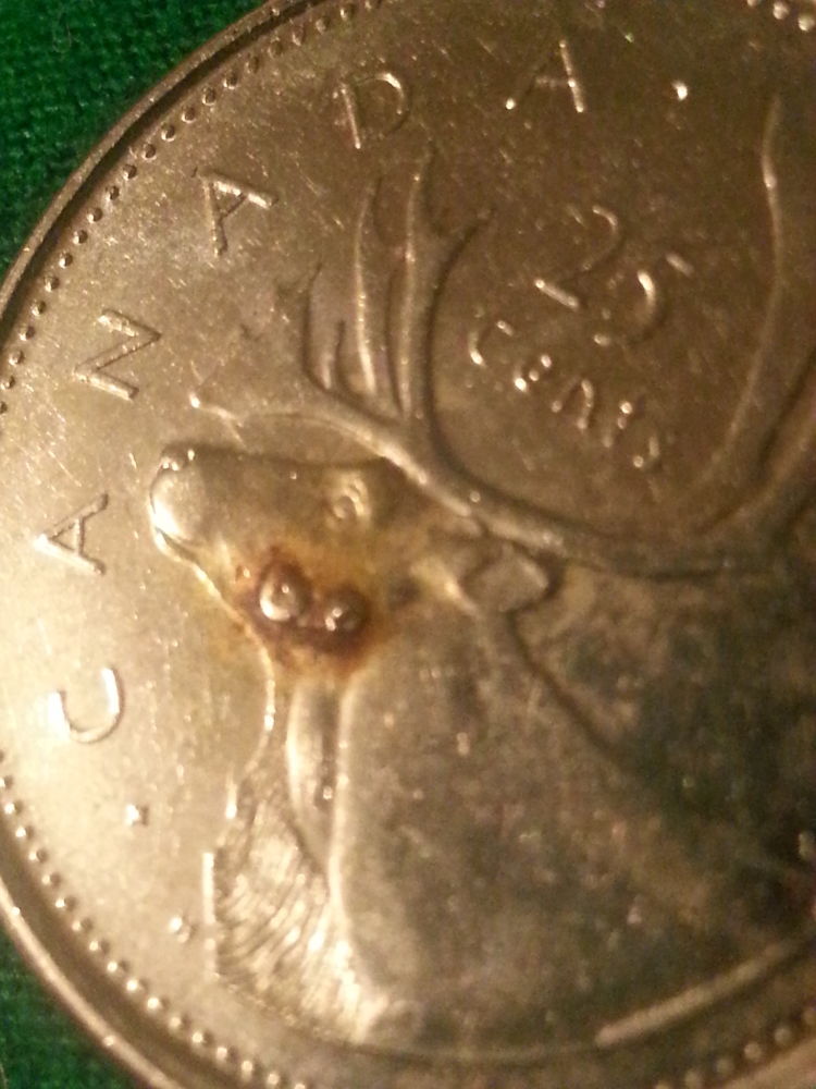 2001-P-Canadian-Quarter
