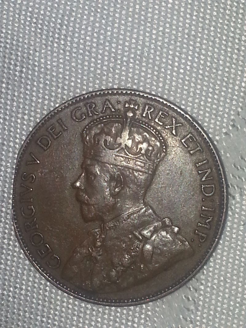 Large-NFLD-Large-Cent