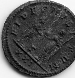 Opinion-On-Coins