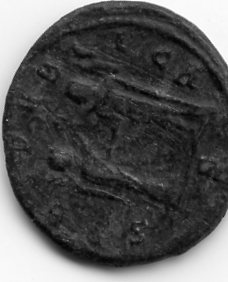 Opinion-On-Coins