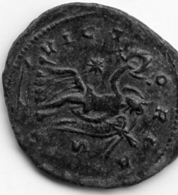 Opinion-On-Coins