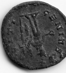 Opinion-On-Coins