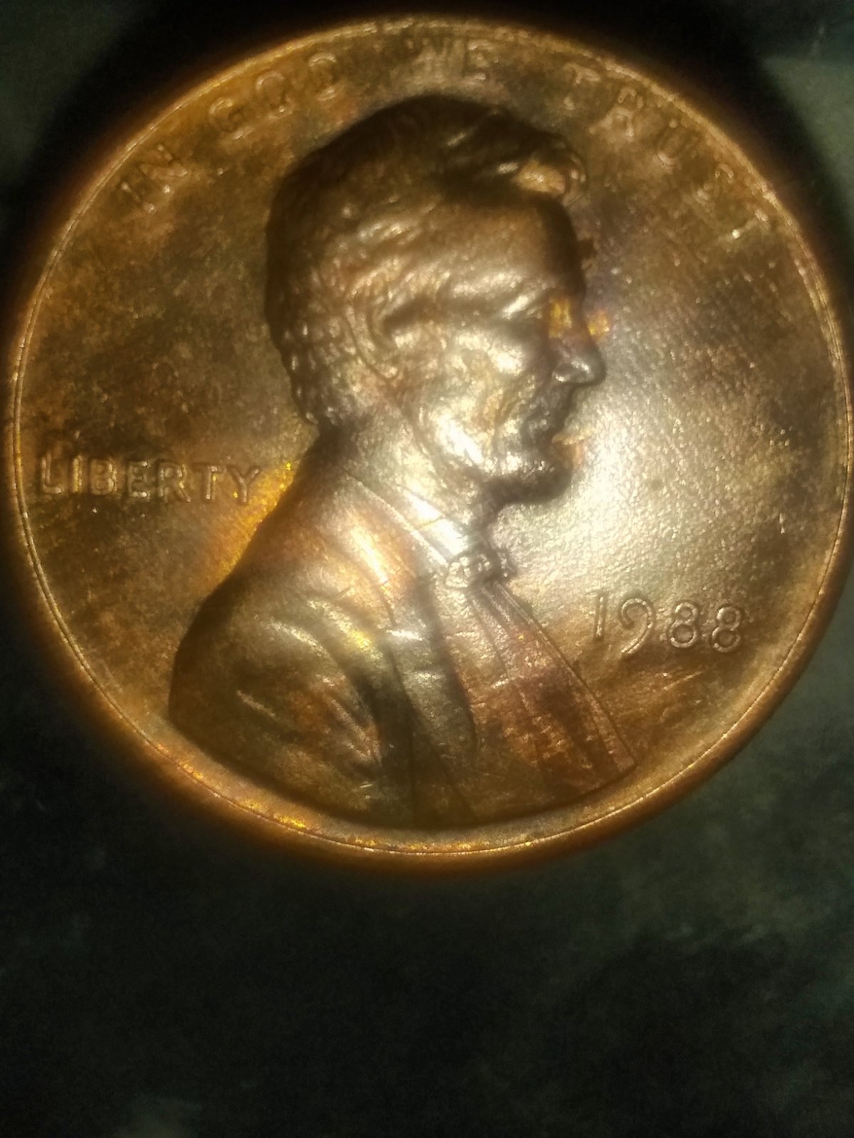 Just-Found-Thia-New-VDB-LMC-1988-Is-This-A-New-Variety?