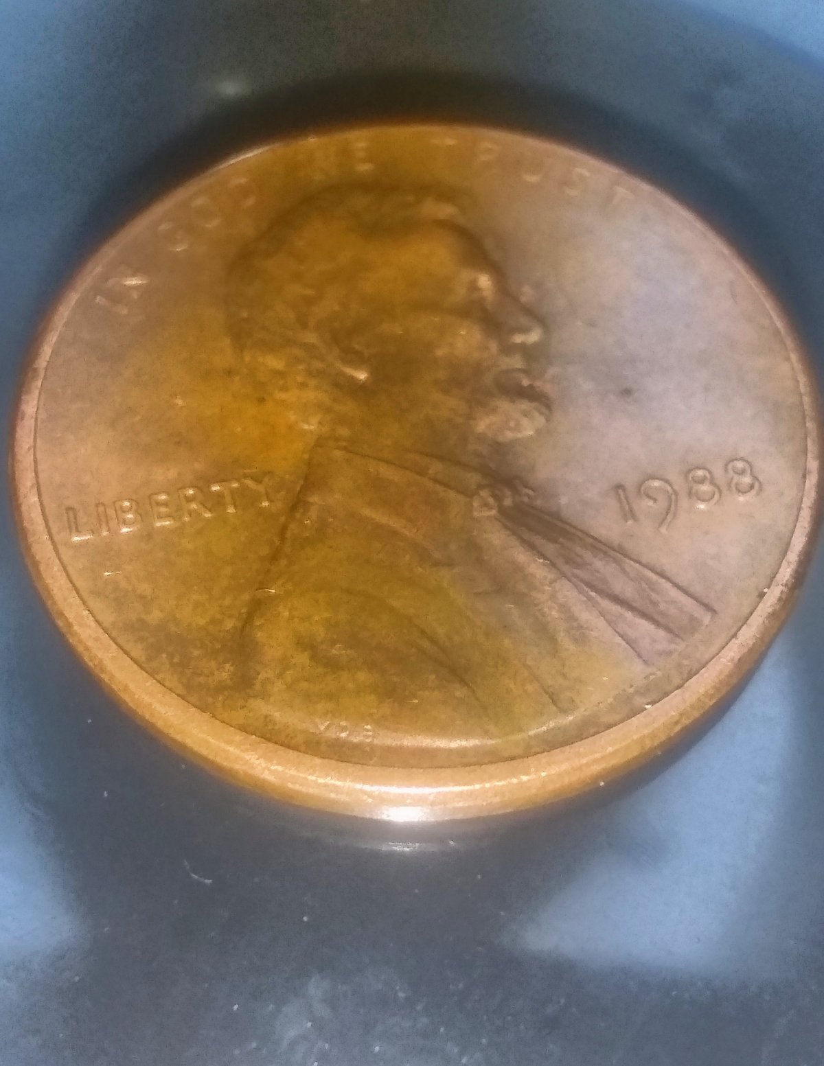 Just-Found-Thia-New-VDB-LMC-1988-Is-This-A-New-Variety?