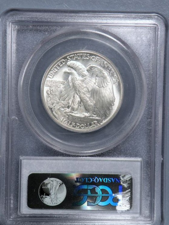 My-Very-First-Slabbed-Walker!