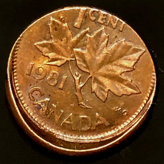 Canada-1981-Cent-Odd-Rim-Error