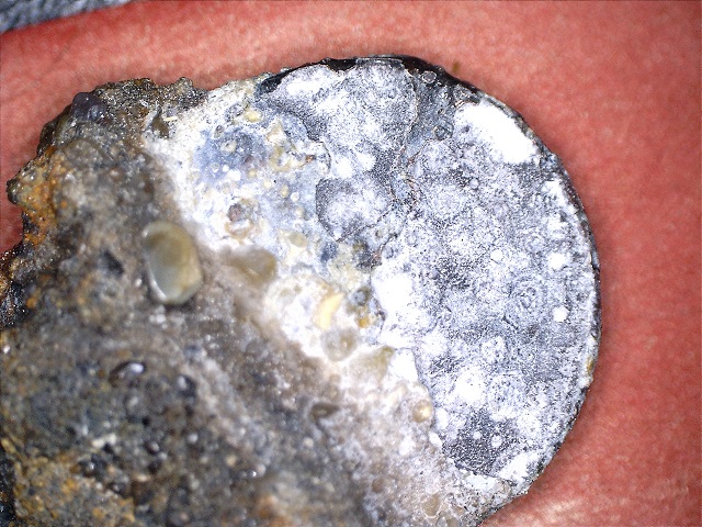 Coin-From-The-Atlantic